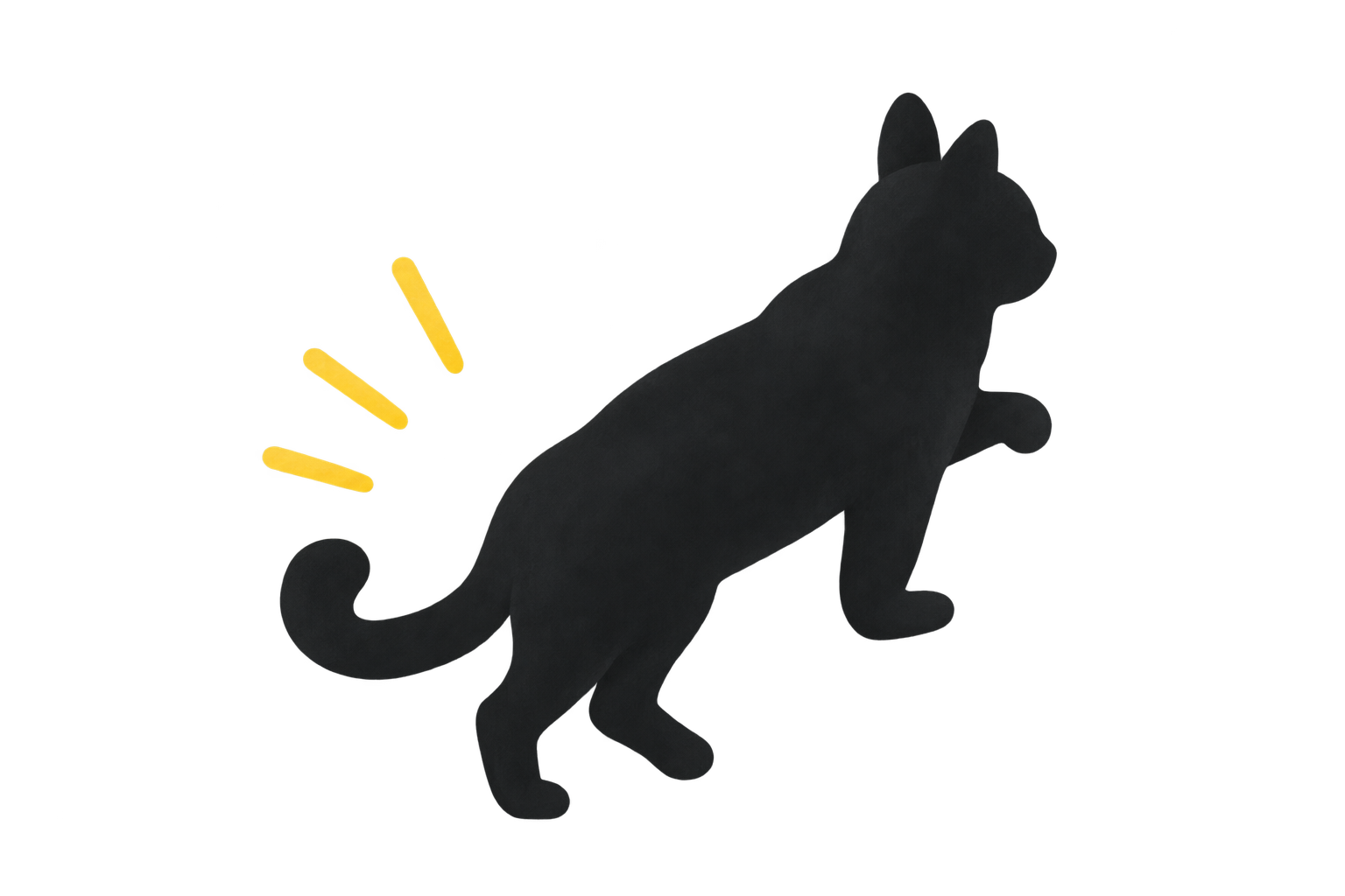 一歩踏み出す黒猫